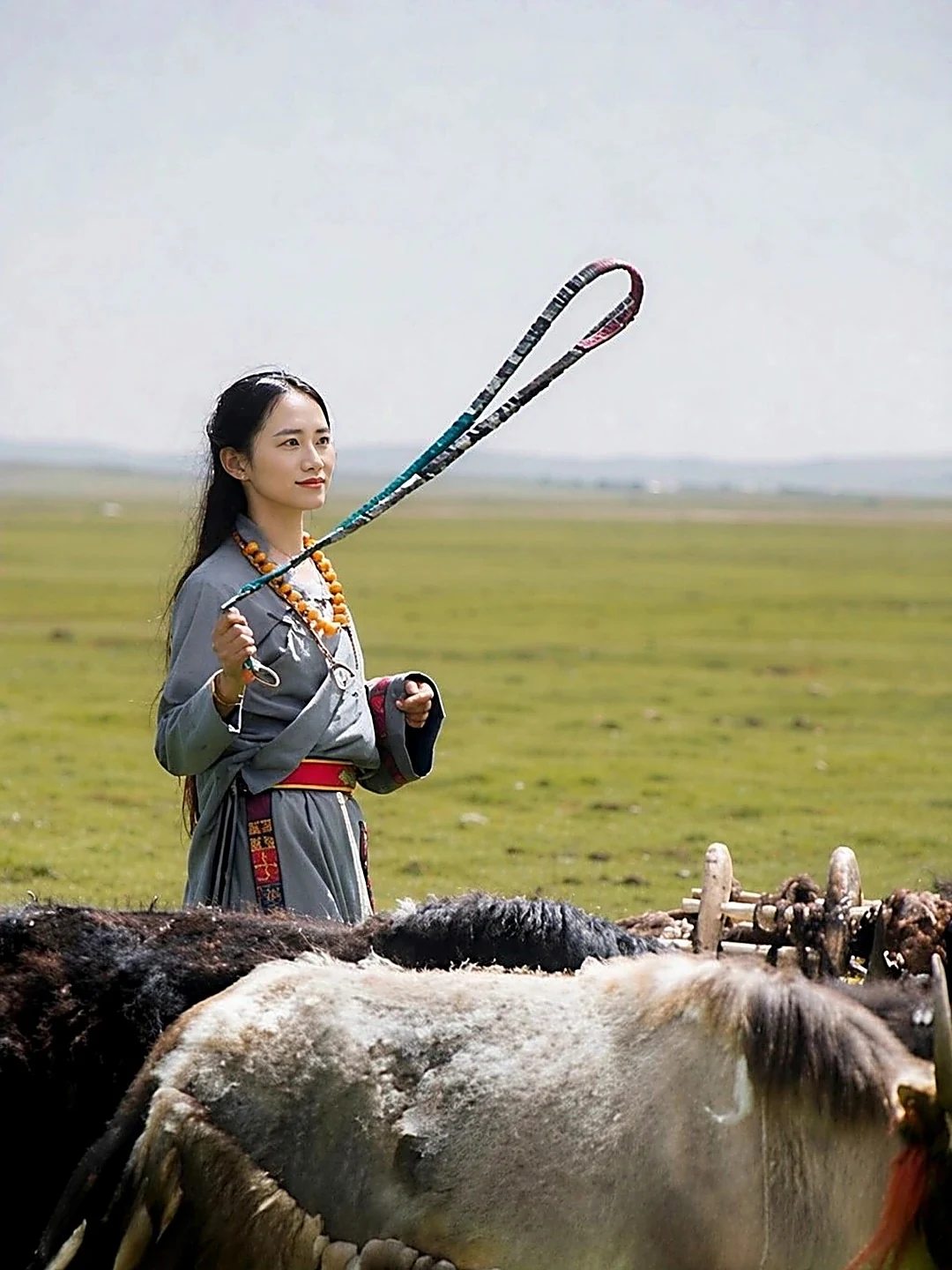Sarah Chen in Tibetan dress, raising a hand-knotted wurdoo sling above a herd of yaks on the highland pasture